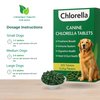 Chlorophyll for Dogs - Chlorella Tablets & Chlorophyll Pills - Natural Breath Freshener & Detox - Human-Grade Vegan Dog Greens with Chlorophyll, 200 Tablets