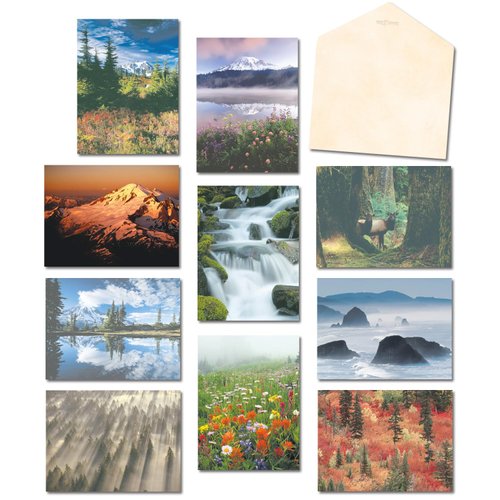 Leanin' Tree, The Pacific Northwest, Blank Cards and Envelopes, Blank Greeting Cards, Stationary Set, Blank Note Cards, (20 Blank Cards, 22 Envelopes)