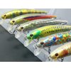 wLure Minnow Crankbait for Bass Fishing Bass Lure Jerkbait Fishing Lure (HM509KB, with Tackle Box)