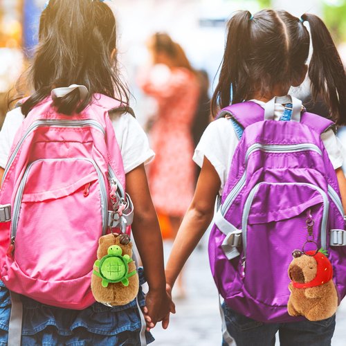 Ditucu 2 Pcs Capybara Plush Keychain Toys Kawaii Strawberry Turtle Capybara Stuffed Animals Dolls Pendant for Backpack Decoration Gift for Kids