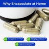 ATLEMISME Empty Vegan Capsules Size 00 - Vegan Capsules Empty (500 Count) Empty Capsules DIY Vegetable Capsule Filling - Veggie Capsules Empty Caps with 2 Micro Lab Spoons for Capsule Filling