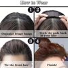 Generic 3PCS Invisible Fluffy Hair Pad, Portrayi Invisible Fluffy Hair Pad, Hair Bun Invisible False Hair Clip, Fluffy Hair Pad Styling Insert Tool, brown