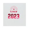 Paper Frenzy Graduation Foil Stamped Party Napkins Class of 2024-25 pack, Blue