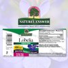 Nature’s Answer Lobelia Herb Lobelia Inflata - Natural Herbal Supplement - Gluten-Free - Ideal for Immunity Overall Health Wellbeing – 690mcg (1 FL Oz)