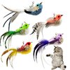 CATENEED Cat Feather Toys Refill Cat Wand Attachments, 5 PCS Feathers Cat Toy Refills, Cat Wand Replacement Feather Bird for Cat Toys