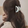 Medium Hair Claw Clips Accessories for Women Medium Hair Clips for Thin Hair Acetate Hair Clips 4pcs