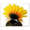 6PCS Beautiful Sunflower Hair Alligator Clips Hair Clamp Hair Styling Accessories for Lady Girls Party Beach Vacation Wedding Decoration
