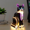 Kyglaring LED Lighting Kit for Lego Ideas Tuxedo Cat Model Kit, Compatible with Lego 21349 (Lego Sets Not Included)