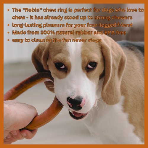 Wildfang® Chewing Toy Robin for Dogs - 100% Natural Rubber