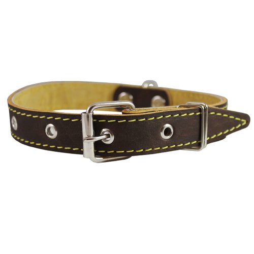 Genuine Thick Leather Dog Collar 13"-19.5" Neck Size, 1" Wide, Brown