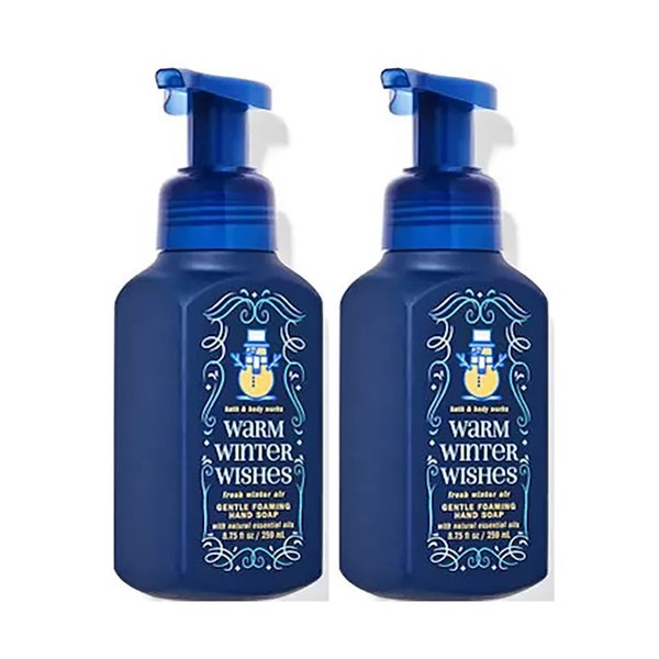 Bath and Body Works Gentle Foaming Hand Soap 8.75 Ounce 2-Pack (Fresh Winter Air)
