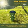 Mole Repellent Screw Solar Powered Outdoor Groundhog Deterrent Vibration Stakes Quiet Get Rid of Snake Vole Gopher Armadillo for Yard Lawns - No Noise Poison Kill Traps (Green 2pack)