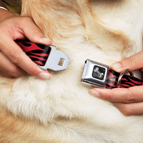 Dog Collar Seatbelt Buckle Flame Red 13 to 18 Inches 1.5 Inch Wide
