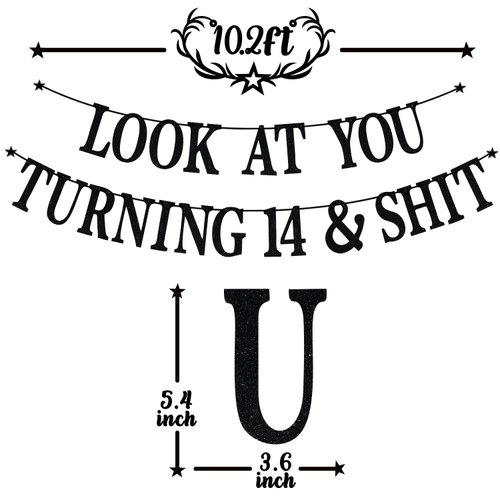 Black Glitter Look at You Turning 14 & Shit Banner, Happy 14th Birthday/Level 14 Unlocked/Cheers to 14 Years, Funny 14th Birthday Party Decorations Supplies