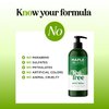 Tea Tree Oil Body Wash - Hydrating Shower Gel Tea Tree Body Wash for Women and Men - Women and Mens Body Soap with Peppermint and Tea Tree Essential Oil and Moisturizing Body Wash for Dry Skin Care
