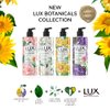 Lux Botanicals Bright Skin Shower Gel, Natural Extracts, No Paraben,- 450 ml/15.2 Fl.Oz