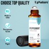 UpNature Peppermint Essential Oil Roll On - Relieves Head Tension, Pregnancy Essentials, Reduces Stress & Soothes Aches- Premium Quality, Therapeutic Grade Aromatherapy Oil