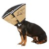 All Four Paws Comfy Cone Pet Cone for Dogs, Cats, X-Small, Tan - Comfortable Soft Dog Cone Collar Alternative for After Surgery, Wound Care, Spay, Neuter - Dog and Cat Recovery Collar