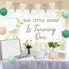 One Silly Goose 1st Birthday Decorations Farm Animal Themed Backdrop Duck Floral Birthday Banner Farm Duck Cupcake Topper Latex Balloons for Kids Boys Girls First Birthday Supplies (Green)