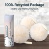 AmazerBath Loofah Sponge, Shower Loofah 60g/PCS - Body Scrubber Loofa Set of 3 Cream Color, Bath Sponge for Men and Women