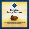 Blue Buffalo True Chews Premium Morsels Dog Treats, Made in The USA with Natural Ingredients, Steak, 10-oz Bag