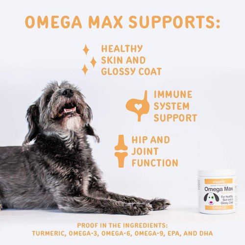 waggedy Max Omega Chews for Dogs w/Fish Oil, Essential Fatty Acids & Turmeric – Supports Immune System Health in Canines, Shine to Coats, Helps Reduce Dog Inflammation, Joint Pain & Allergies (60)