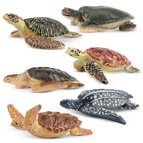 Toymany 6PCS Realistic Sea Turtle Figurines, Plastic Ocean Sea Animals Figures Set Includes of Turtles, Educational Toy Cake Toppers Christmas Birthday Gift for Kids Toddlers