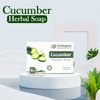 HERBOGANIC Cucumber Herbal Soap | Natural Bar Soap for Face and Body | Moisturizing and Nourishing | Infused with Cucumber | Gentle for Men and Women | 5 Oz (Pack of 6)…