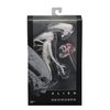 NECA Alien: Covenant - 7" Scale Action Figure - Neomorph