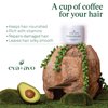 Eva + Avo Deep Conditioning Hair Mask - Hydrating Hair Mask with Avocado –Nourishing Hair Mask for Dry Damaged Hair – Paraben and Sulfate-Free – 8 Fl Oz