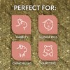 Evergreen Pet Supplies [4 Pack] Furry Friends Timothy Hay Chewing Bowl for Small Pets & Bunnies - Edible Bowls for Guinea Pig Treats - Ferret & Rabbit Toys - Guinea Pig Food Bowl - Bunny Toys