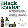 Hair Chemist Superior Growth Jamaican Black Castor Hair Mask 12 oz. - Hair Masque for Dry Damaged Hair, Deep Repairing Mask for Hair Growth