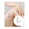 Inkbox Temporary Tattoos, Semi-Permanent Tattoo, One Premium Easy Long Lasting, Water-Resistant Temp Tattoo with For Now Ink - Lasts 1-2 Weeks, Casual Cardinal, 4 x 4 in