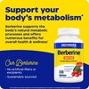 Enzymedica Berberine 800 mg – Vegan Capsules for Metabolic Support – from Sustainably Sourced Barberry – Non-GMO, Gluten-Free, No Fillers or Excipients – 60 Capsules