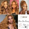 Light Brown Wigs Human Hair 22 Inch Body Wave 13x4 HD Lace Front Wigs Pre Plucked with Baby Hair Chocolate Brown Body Wave Human Hair Lace Front Wigs Ginger Brown Human Hair Wig for Women 150% Density