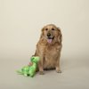 Fringe Studio Plush Dog Toy, Bruno The BRONTO (289809)