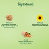 Biotique Wheat Germ Firming Face and Body Cream for Normal to Dry Skin - 50 Gm - 1 Pack