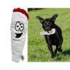 PAW:20 Jay The Joint Funny 420 Dog Toy, 7 Inch (Pack of 1)