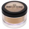 Make-up Studio Amsterdam Translucent Powder Extra Fine - Suitable for Setting, Highlighting and Baking - Provides a Flawless Finish - Stays in Place all the Day - 4-0.28 oz
