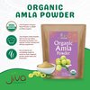 Organic Amla Powder 1.25 LB (20oz) - Pure, Lab Tested, Gluten Free, Non-GMO, Pure Amalaki Powder From India, Vitamin C, Bulk Bag, 100% Raw & Natural - by Jiva Organics