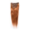 Straight long fine hair remy hair clip ins straight Hair Extensions clip in remy human hair(120g 22", 30#)
