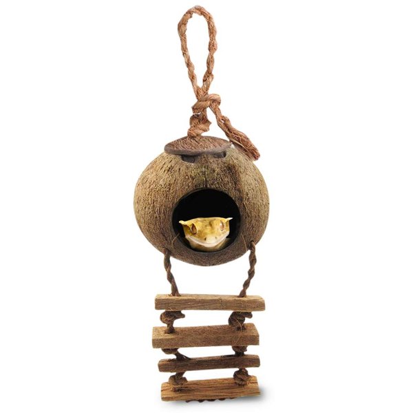 SunGrow Crested Gecko, Snake & Ball Python Coco Hut, Treat & Food Dispenser, Climbing Porch, Hiding, Ideal for Reptiles, Amphibians (with Ladder)