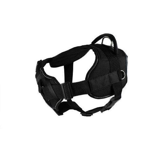 Dean & Tyler Black with Reflective Trim Fun Dog Harness with Padded Chest Piece, On Duty, Medium, Fits Girth Size 28-Inch to 34-Inch