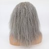zigzag hair Afro Curly Human Hair Wig Grey 13x6 Lace Front Wigs Human Hair for Black Women Ash Curly Afro Wig Pre Plucked Hairline 150% Density with Baby Hair (14 Inch, Grey)
