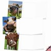 The Best Card Company - 10 Adorable Note Cards Blank (4 x 5.12 Inch) - Wildlife and Animal Cards, Assorted Boxed Kids Set - Cowlicks M4604OCB-B1x10