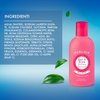Perlier Petali Di Rosa Bagnoschiuma Body Wash 500 ml 16.9 fl. oz. Made in Italy [Italian Import]