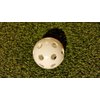 Wiffle Plastic Perforated Golf Balls 36 Pack