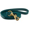 J&J Dog Supplies Biothane Dog Leash, 3/4" Wide by 6' Long, Hunter Green