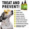 Natural Antibiotics for Dogs - Dog Liquid Antibiotics - Supports Dog Allergy Relief - Dog Itch Relief - Dog Allergy Support - Dog Multivitamin - Pet Antibiotics