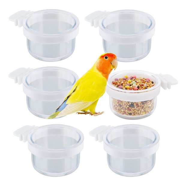 6 Pack Detachable Transparent Bowl Plastic Food Cup Convenient Hanging Seed Water Feeder for Parrot Canary Finch Small Size Bird